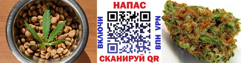 Купить где  Чудово  Canna-Cookies марихуана 
