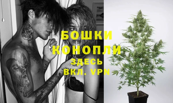 молекула духа Володарск