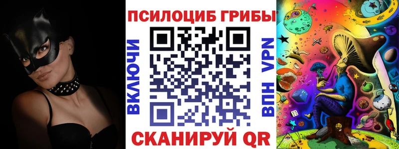 Купить закладки  Чудово  Псилоцибиновые грибы Psilocybe 